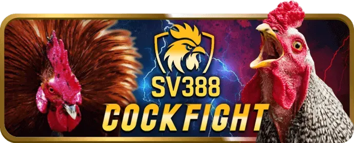 Đá gà trực tuyến 2233win với trận đấu gay cấn