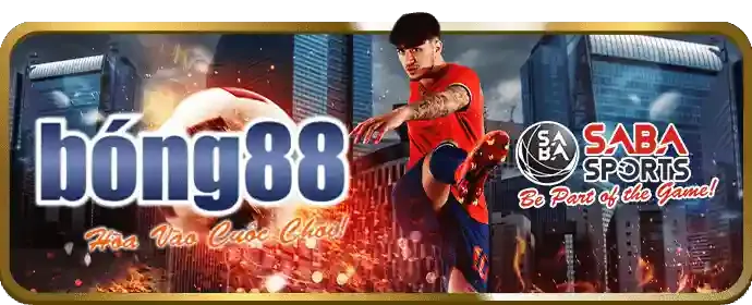 Các Vòng Thưởng Hấp Dẫn